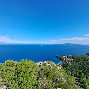 https://apartments-dalia-lovran.primorje-gorskikotar.com